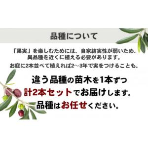 ふるさと納税 土庄町 【小豆島】瀬戸内小豆島の...の詳細画像2