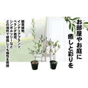 ふるさと納税 土庄町 【小豆島】瀬戸内小豆島の...の詳細画像3
