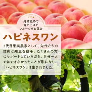ふるさと納税 甲州市 【2026年 先行受付】...の詳細画像3