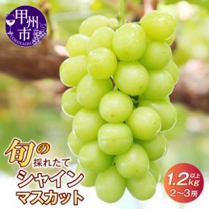 ふるさと納税 甲州市 【2026年 先行受付】山...の商品画像