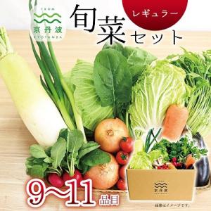 ふるさと納税 京丹波町 京丹波 旬菜セット レギュラー 野菜 野菜セット 野菜詰め合わせ