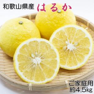 はるか みかんのおすすめ人気商品一覧 通販 - Yahoo!ショッピング