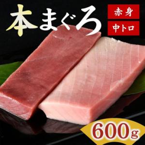 ふるさと納税 松阪市 国産本まぐろ (赤身・中トロ) 短冊セット 600g以上 (150g以...