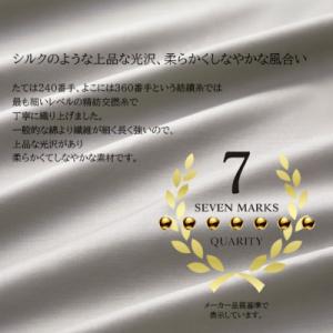 ふるさと納税 和泉市 (50×150cm)ポー...の詳細画像2