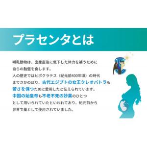 ふるさと納税 湖西市 SPFプラセンタ【30箱...の詳細画像1