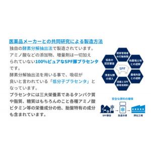 ふるさと納税 湖西市 SPFプラセンタ【30箱...の詳細画像2