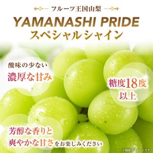 ふるさと納税 山梨市 2026年発送 フルーツ...の詳細画像2