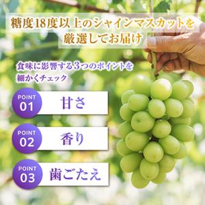 ふるさと納税 山梨市 2026年発送 フルーツ...の詳細画像3