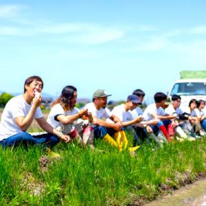 ふるさと納税 近江八幡市 【令和8年産】大粒で...の詳細画像3