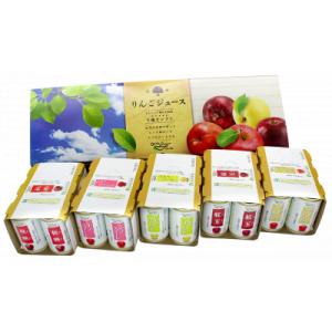ふるさと納税 長野市 信州りんごジュース5種セレクト(紅玉) 160g/6本×5種類