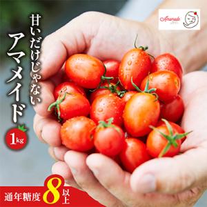 ふるさと納税 和泉市 【1kg】ミニトマト 糖度8以上 アマメイド 　リピーター続出の人気野菜