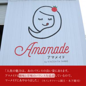 ふるさと納税 和泉市 【1kg】ミニトマト 糖...の詳細画像2