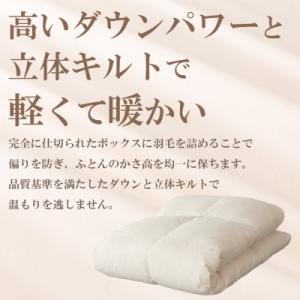 ふるさと納税 山梨市 本掛け羽毛布団 (ダブル...の詳細画像2