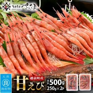 ふるさと納税 越前町 鮮度抜群!越前町産 甘えび 250g × 2P セット