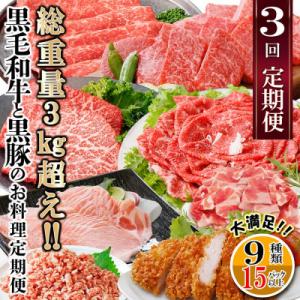ふるさと納税 枕崎市 総重量3Kg越え、鹿児島県産黒毛和牛と黒豚のお料理定期便(3回配送)　EE0-...