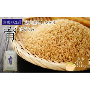 ふるさと納税 南砺市 【令和7年産】富山県産こしひかり　育(はぐくみ)玄米30kg《南砺の逸品》