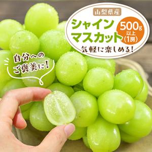 ふるさと納税 山梨市 【2026年発送 先行受付】山梨市 シャインマスカット1房(500g以上) 化...