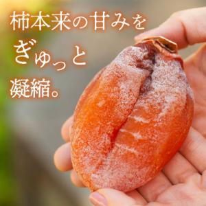 ふるさと納税 山梨市 【2026年12月発送】...の詳細画像2