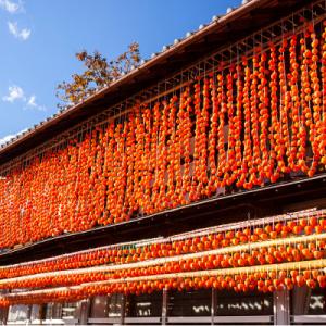 ふるさと納税 山梨市 【2026年12月発送】...の詳細画像3