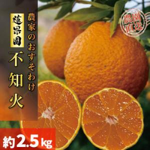 ふるさと納税 松山市 【先行予約】2026年2月下旬〜発送 不知火約2.5kg(デコポンと同品種) ...