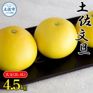 ふるさと納税 土佐市 土佐文旦大玉(4L、3L)サイズ4.5kg