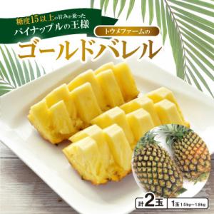 ふるさと納税 本部町 【2027年6月下旬から順次発送】トウメファームのゴールドバレル2玉