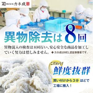 ふるさと納税 南知多町 釜揚げしらす 1kg(...の詳細画像2