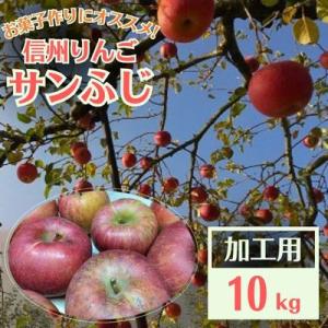 ふるさと納税 中野市 信州りんご 加工用 10kg サンふじ