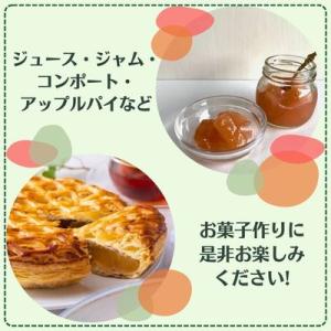 ふるさと納税 中野市 信州りんご 加工用 10...の詳細画像2