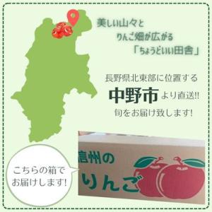ふるさと納税 中野市 信州りんご 加工用 10...の詳細画像3