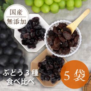 ふるさと納税 山梨市 シャインマスカット 巨峰 ピオーネ のレーズン 30g×5袋 食べ比べセット 無添加、砂糖不使用｜Yahoo!ふるさと納税