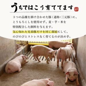 ふるさと納税 藤沢市 希少ブランド豚『みやじ豚...の詳細画像2