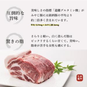 ふるさと納税 藤沢市 希少ブランド豚『みやじ豚...の詳細画像3
