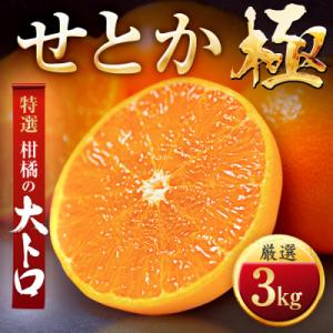 ふるさと納税 八幡浜市 【毎年大人気】柑橘の大トロ!【せとか】3kg　愛媛県産【E49-67】