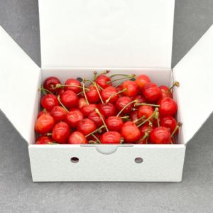 ふるさと納税 北杜市 完熟大玉さくらんぼ 2〜3L バラ詰め 約500g (佐藤錦または紅秀峰およびその優良系統)