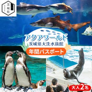 ふるさと納税 茨城県 アクアワールド茨城県大洗水族館　年間パスポート(大人2名分)