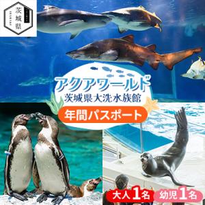 ふるさと納税 茨城県 アクアワールド茨城県大洗水族館　年間パスポート(大人1名・幼児1名分)