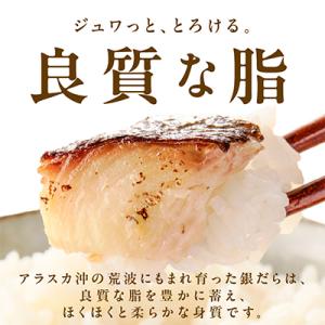 ふるさと納税 泉佐野市 銀鱈 西京漬け 120...の詳細画像3
