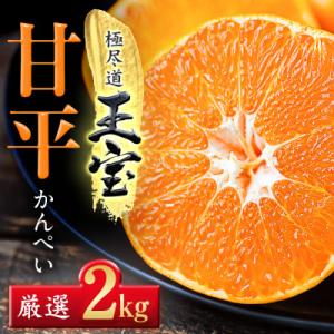 ふるさと納税 八幡浜市 「玉宝ブランド」【甘平】2kg【D64-43】