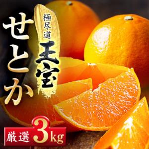 ふるさと納税 八幡浜市 「玉宝ブランド」【せとか】3kg【E64-47】