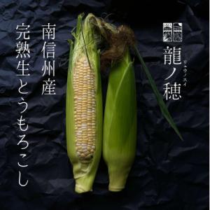 ふるさと納税 飯田市 【2027年分先行受付】南信州産 完熟生とうもろこし 約3kg(6本〜8本)