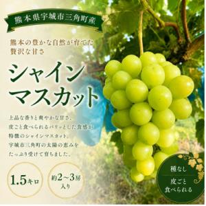ふるさと納税 宇城市 【先行予約】【数量限定】 シャインマスカット 1.5kg ぶどう 果物 フルーツ【みのだ農園】