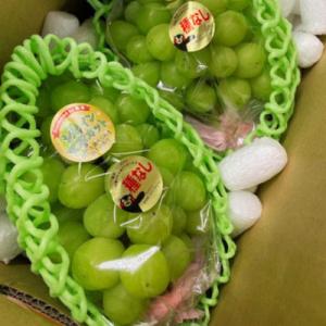 ふるさと納税 宇城市 【先行予約】【数量限定】...の詳細画像2