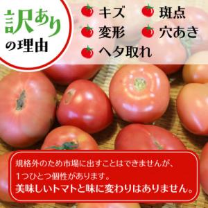 ふるさと納税 飛騨市 訳あり　飛騨トマト　約4kg