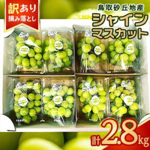 ふるさと納税 北栄町 シャインマスカット　訳あり　家庭用　鳥取砂丘地産　2.8kg(350g×8パック)