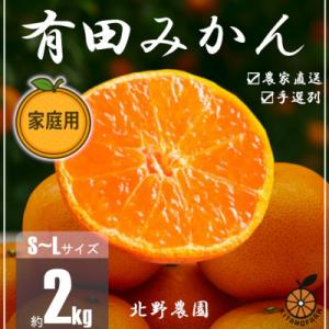 ふるさと納税 湯浅町 訳あり 家庭用 有田みかん 和歌山  S〜L サイズお任せ 2kg