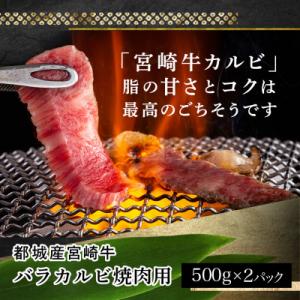 ふるさと納税 都城市 宮崎牛バラカルビ1kgの詳細画像1