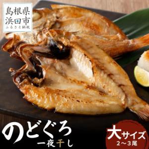 ふるさと納税 浜田市 のどぐろ一夜干し個包装2〜3枚「中〜大型160〜250gサイズ」