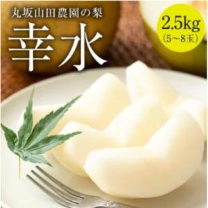 ふるさと納税 美濃加茂市 岐阜県美濃加茂市 :山之上 梨 <幸水> 　1箱　 約2.5kg (5〜8玉)