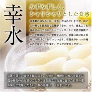 ふるさと納税 美濃加茂市 岐阜県美濃加茂市 :...の詳細画像1